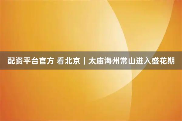 配资平台官方 看北京｜太庙海州常山进入盛花期